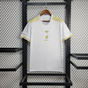 2025-2026 Mexico Special Edition Football Jersey